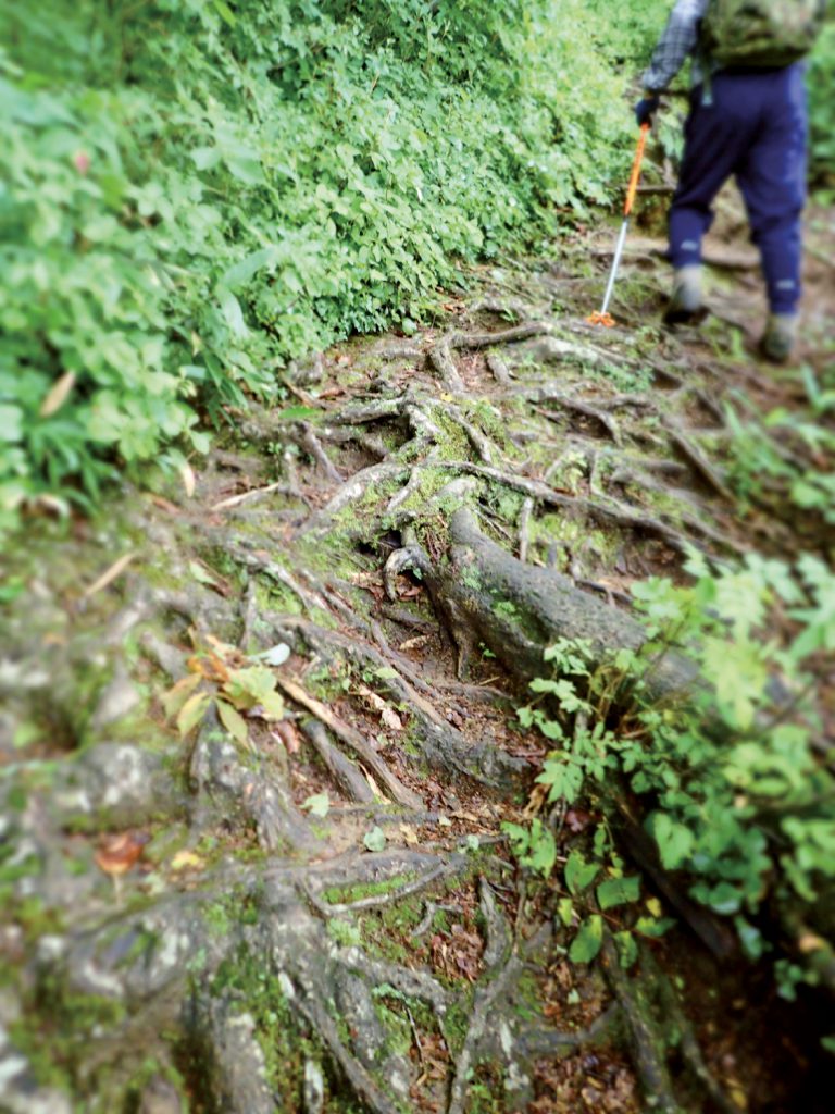 飯豊山信仰 山道