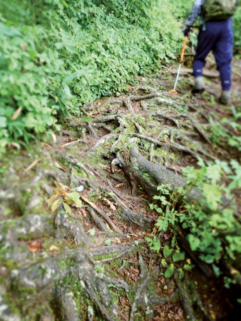 飯豊山信仰　山道